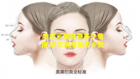 哈尔滨隆鼻要多少费用 哈尔滨隆鼻多少钱